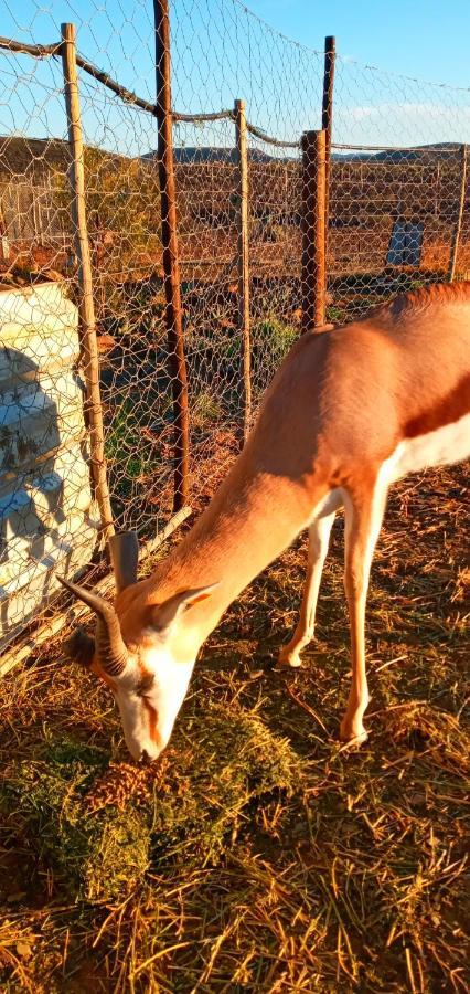 Eltos Karoo Guest Farm