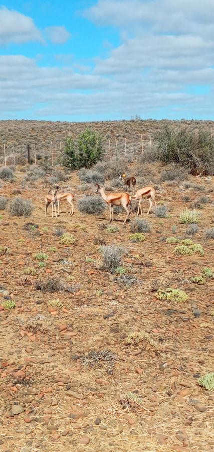 Eltos Karoo Guest Farm