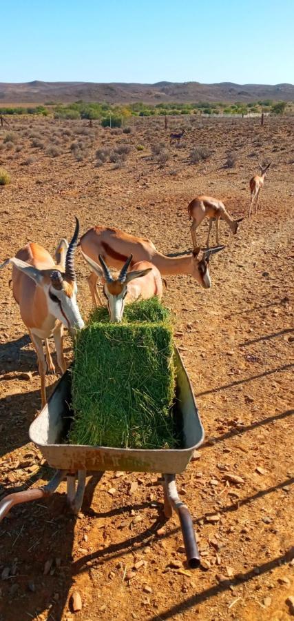 Eltos Karoo Guest Farm Apartment Laingsburg