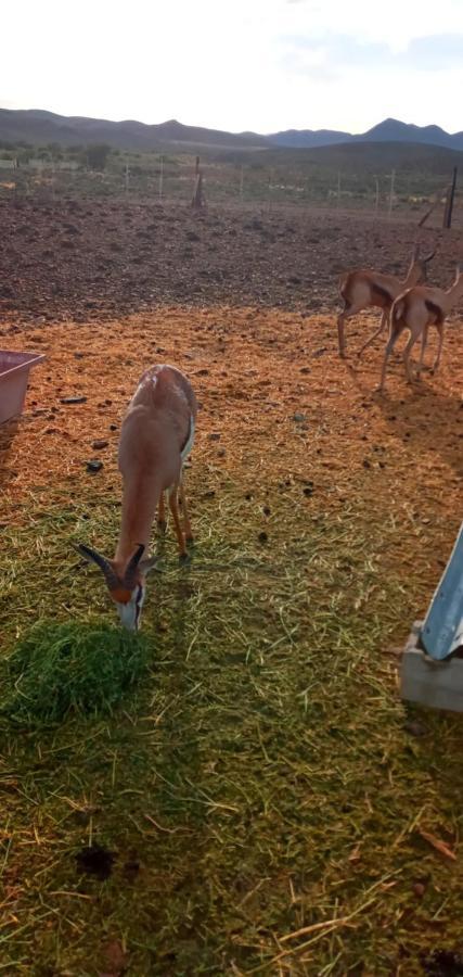 Eltos Karoo Guest Farm Laingsburg