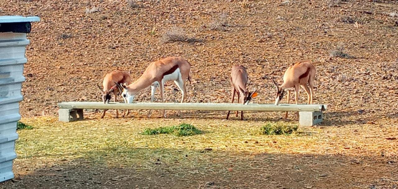Eltos Karoo Guest Farm *